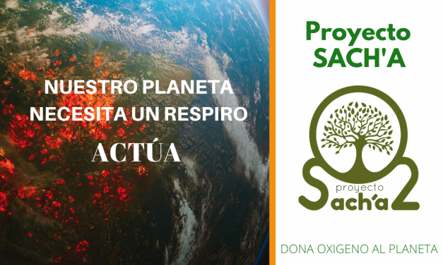 El Proyecto Sach’a cuenta con el apoyo del Ministerio de Agricultura, Pesca y Alimentación de España