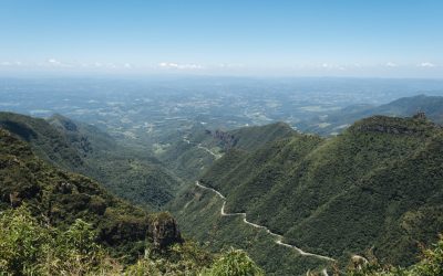 Brasil pondrá en marcha el mayor corredor de reforestación de Sudamérica